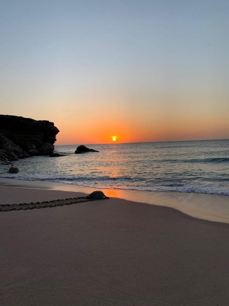Ras Al Jinz Turtle Reserve Al Hadd Exteriér fotografie