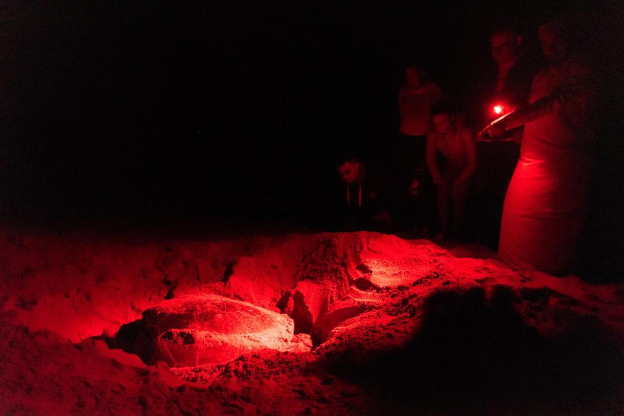 Ras Al Jinz Turtle Reserve Al Hadd Exteriér fotografie