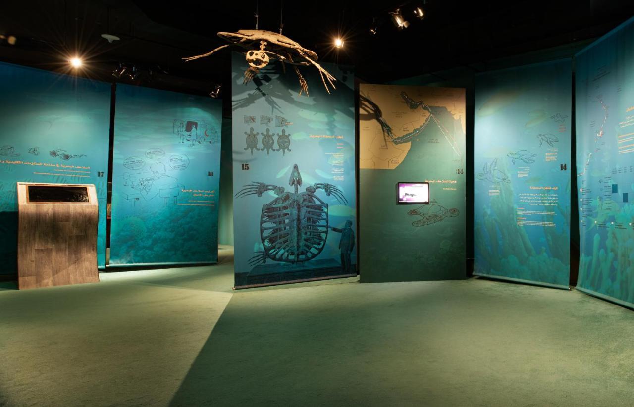Ras Al Jinz Turtle Reserve Al Hadd Exteriér fotografie